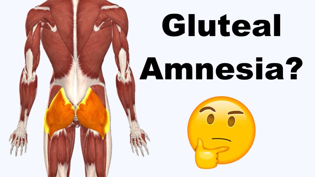 amnésie des fessiers